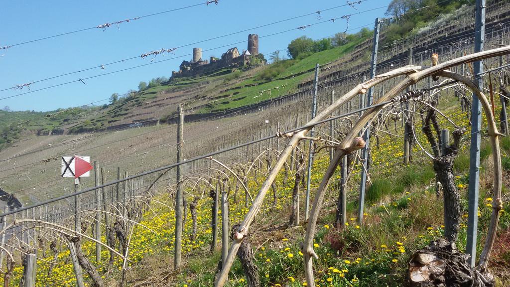 Winzerhof Brachtendorf Alken Exteriör bild
