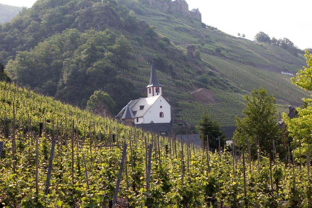 Winzerhof Brachtendorf Alken Exteriör bild