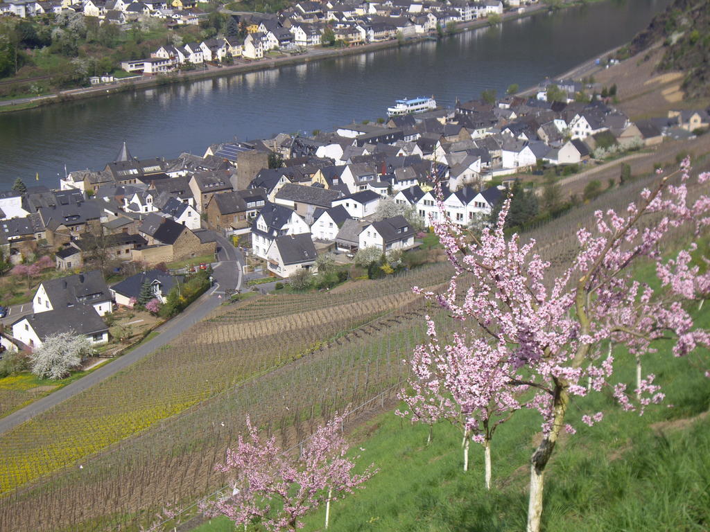 Winzerhof Brachtendorf Alken Exteriör bild