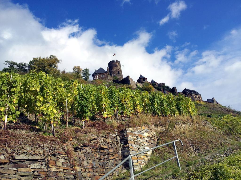 Winzerhof Brachtendorf Alken Exteriör bild