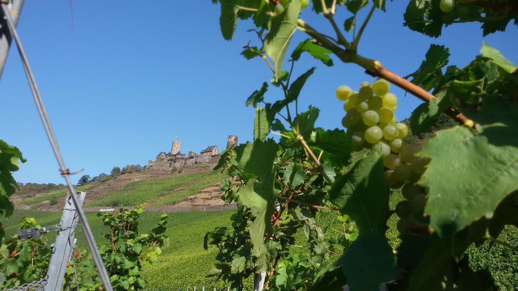 Winzerhof Brachtendorf Alken Exteriör bild