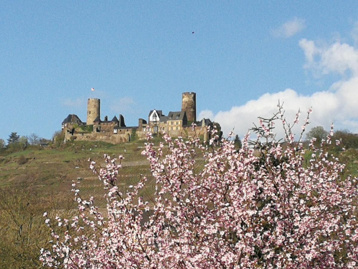 Winzerhof Brachtendorf Alken Exteriör bild